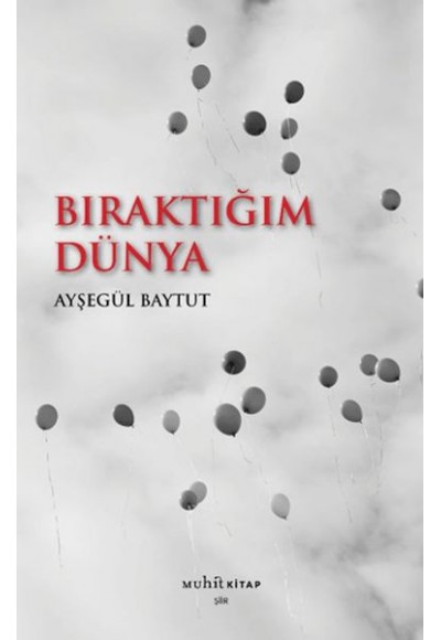 Bıraktığım Dünya