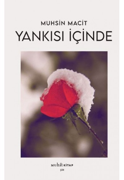 Yankısı İçinde