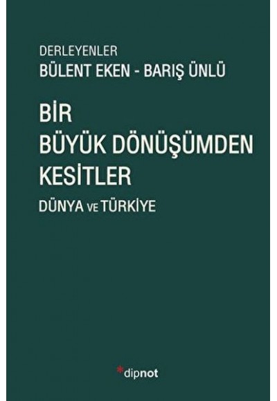Bir Büyük Dönüşümden Kesitler