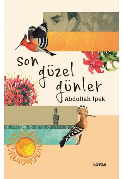 Son Güzel Günler