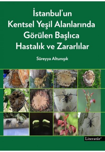 İstanbul’un Kentsel Yeşil Alanlarında Görülen Başlıca Hastalık ve Zararlılar