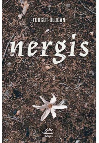Nergis