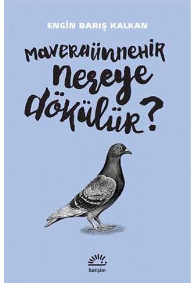 Maveraünnehir Nereye Dökülür?