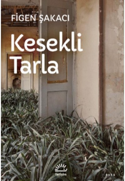 Yolun Gölgesi