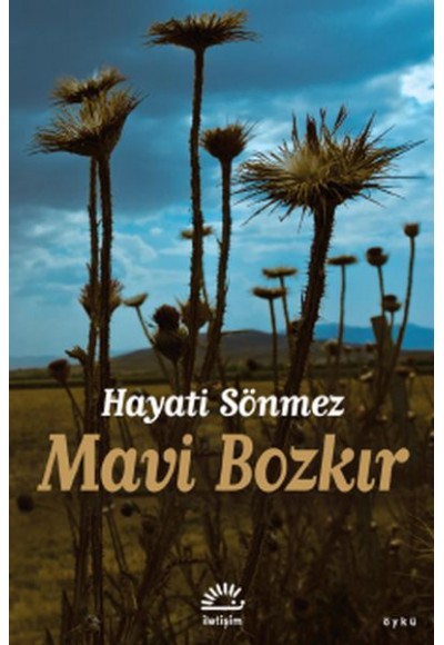 Mavi Bozkır