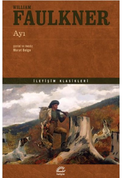 Ayı