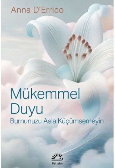 Mükemmel Duyu