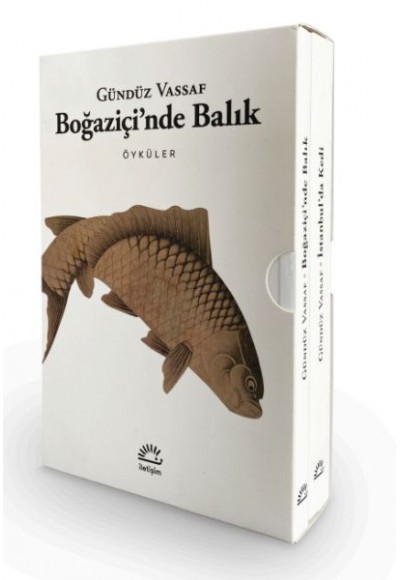 Boğaziçi'nde Balık - İstanbul'da Kedi (2 Kitap - Kutulu Set)
