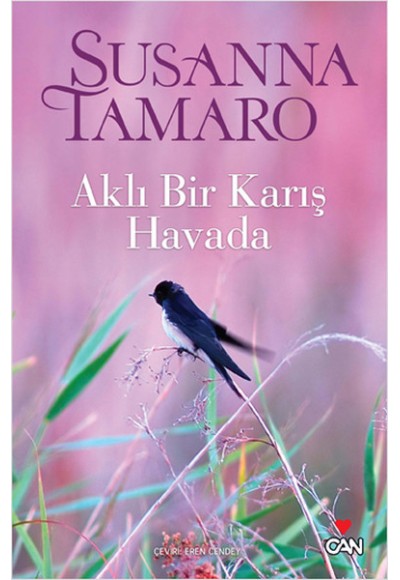 Aklı Bir Karış Havada
