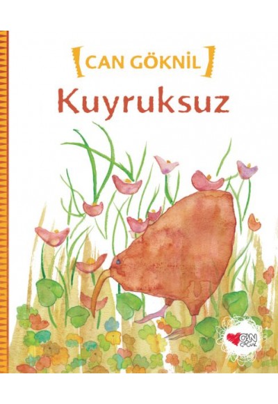 Kuyruksuz