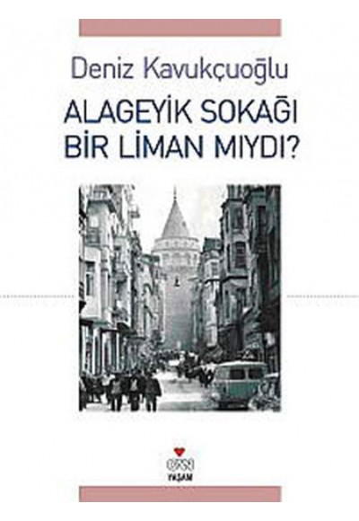 Alageyik Sokağı Bir Liman mıydı?