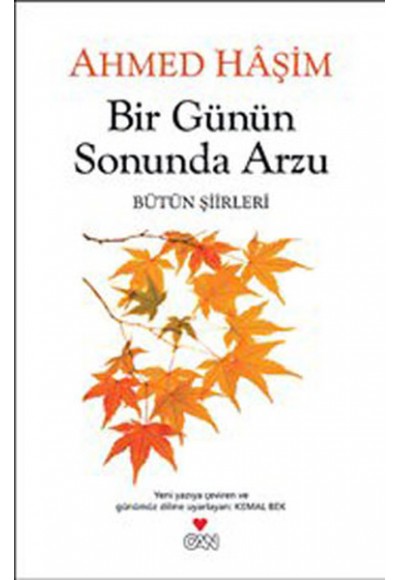 Bir Günün Sonunda Arzu  Bütün Şiirleri