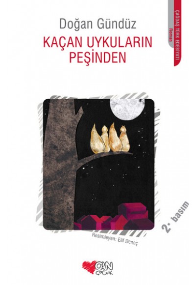 Kaçan Uykuların Peşinden