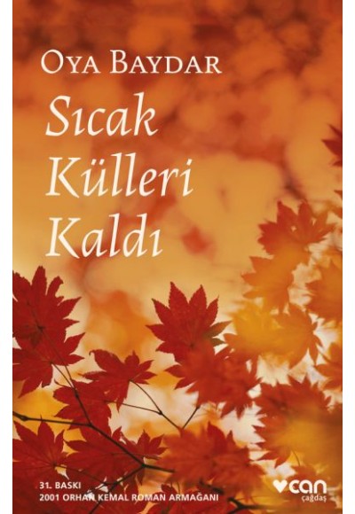 Sıcak Külleri Kaldı