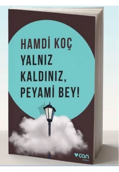 Yalnız Kaldınız, Peyami Bey!
