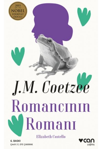 Romancının Romanı