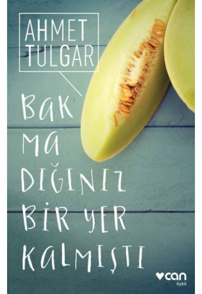 Bakmadığınız Bir Yer Kalmıştı