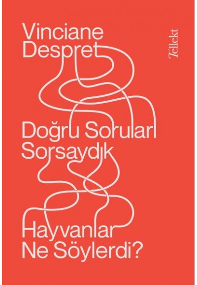 Doğru Soruları Sorsaydık Hayvanlar Ne Söylerdi?
