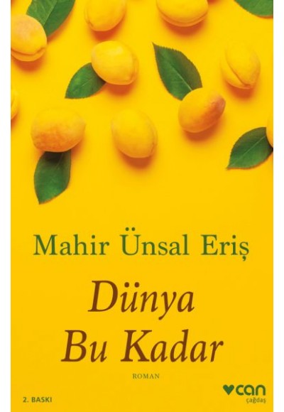 Dünya Bu Kadar