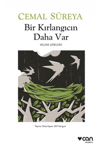 Bir Kırlangıcın Daha Var