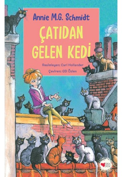 Çatıdan Gelen Kedi