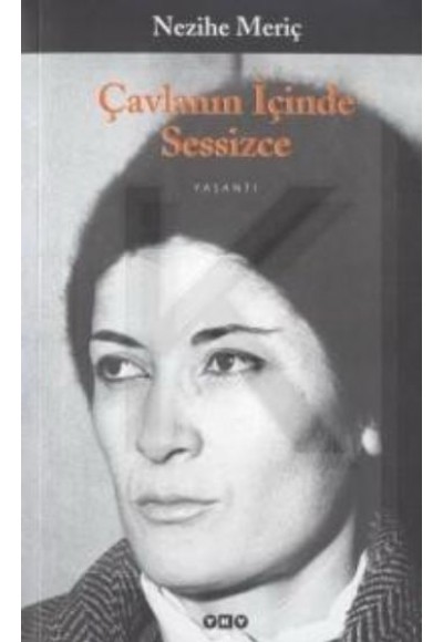 Çavlanın İçinde Sessizce