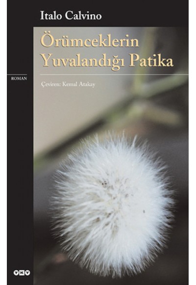 Örümceklerin Yuvalandığı Patika
