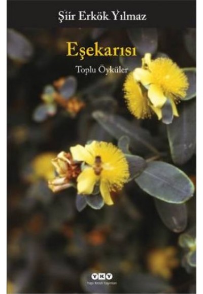 Eşekarısı -Toplu Öyküler