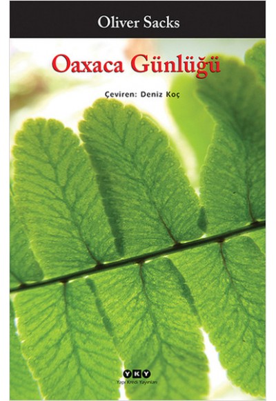 Oaxaca Günlüğü