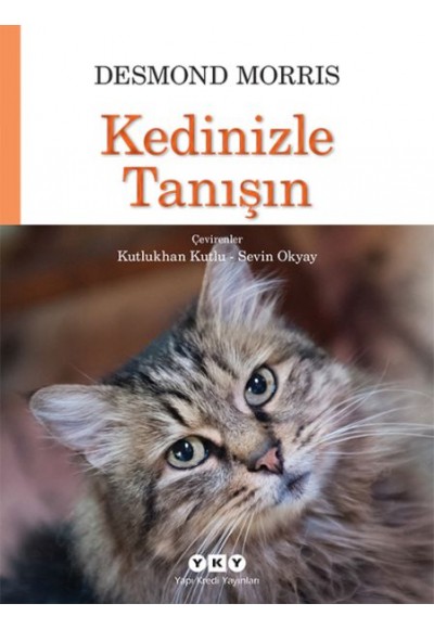 Kedinizle Tanışın