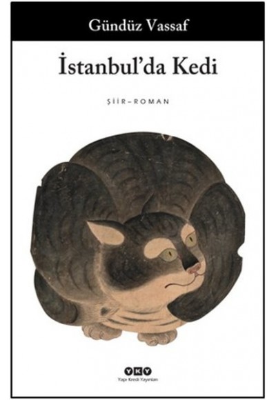 İstanbulda Kedi
