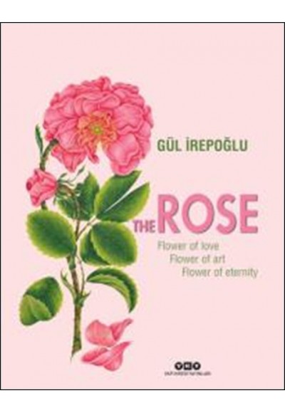 The Rose