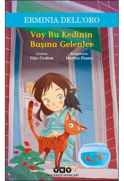 Vay Bu Kedinin Başına Gelenler