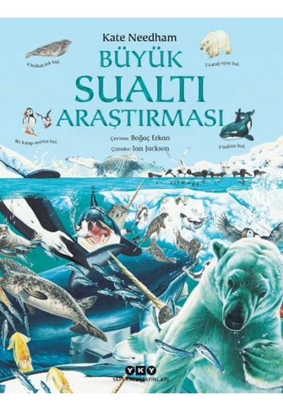 Büyük Sualtı Araştırması
