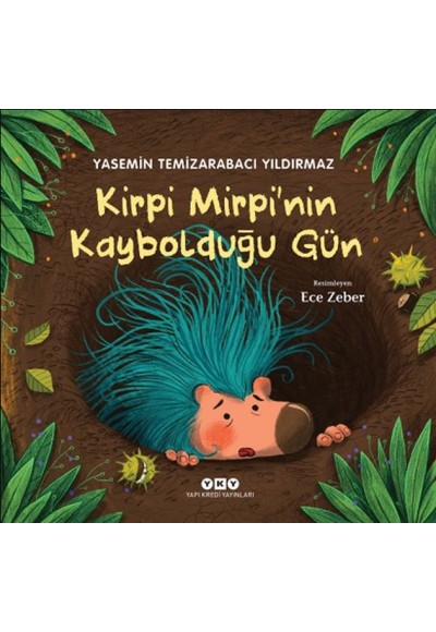 Kirpi Mirpi’nin Kaybolduğu Gün