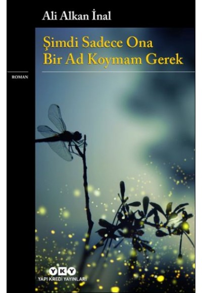 Şimdi Sadece Ona Bir Ad Koymam Gerek