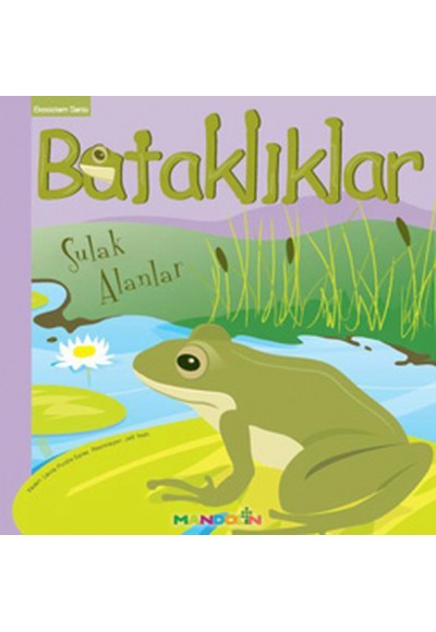 Ekosistem - 3/ Bataklıklar: Sulak Alanlar