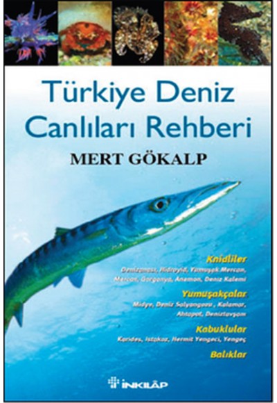 Türkiye Deniz Canlıları Rehberi