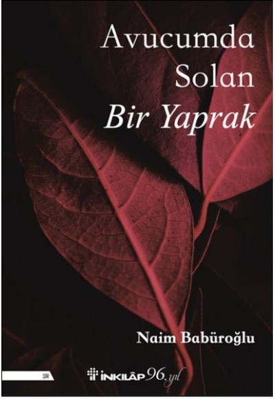 Avucumda Solan Bir Yaprak