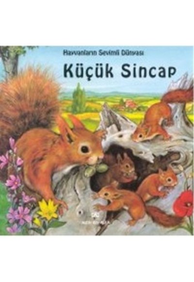 Hayvanların Sevimli Dünyası Küçük Sincap Ciltli
