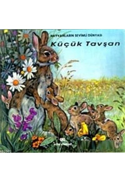 Hayvanların Sevimli Dünyası Küçük Tavşan Ciltli