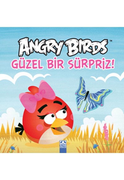 Angry Birds Güzel Bir Sürpiz !