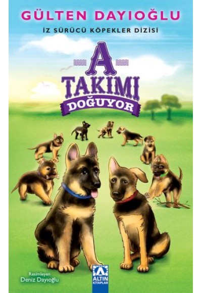 A Takımı Doğuyor
