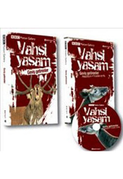 Vahşi Yaşam - Geviş Getirenler (Dvd Ekli)