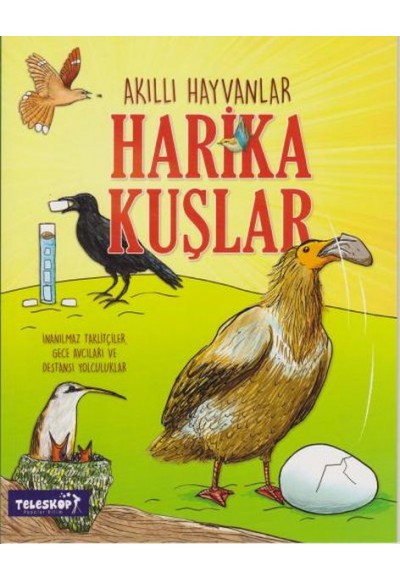 Akıllı Hayvanlar Harika Kuşlar