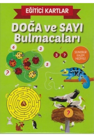 Eğitici Kartlar Doğa ve Sayı Bulmacaları