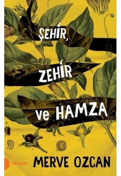 Şehir Zehir ve Hamza