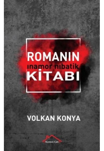 Kitabın Romanı