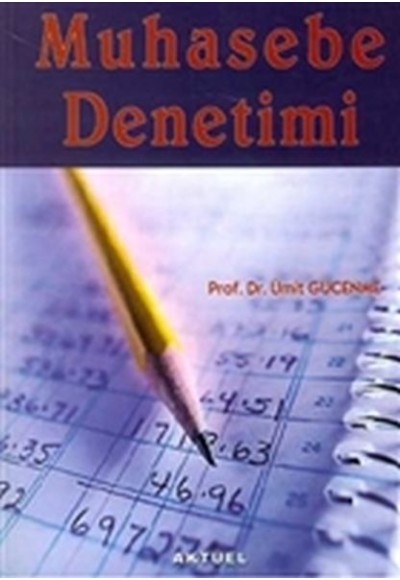 Muhasebe Denetimi