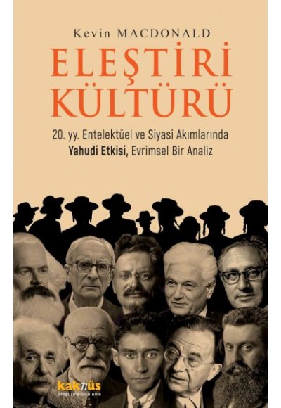 Eleştiri Kültürü